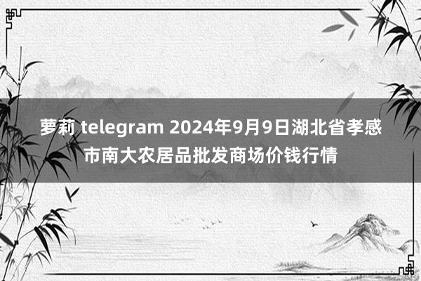 萝莉 telegram 2024年9月9日湖北省孝感市南大农居品批发商场价钱行情