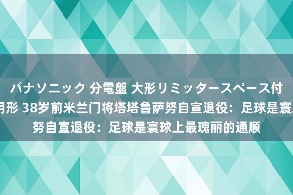 パナソニック 分電盤 大形リミッタースペース付 露出・半埋込両用形 38岁前米兰门将塔塔鲁萨努自宣退役：足球是寰球上最瑰丽的通顺