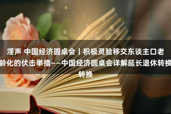 淫声 中国经济圆桌会丨积极灵验移交东谈主口老龄化的伏击举措——中国经济圆桌会详解延长退休转换