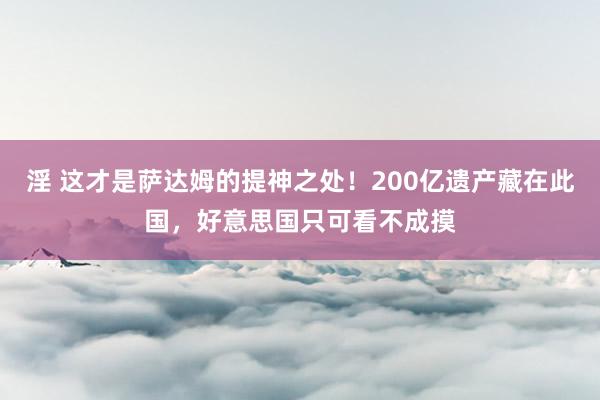 淫 这才是萨达姆的提神之处！200亿遗产藏在此国，好意思国只可看不成摸