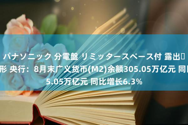 パナソニック 分電盤 リミッタースペース付 露出・半埋込両用形 央行：8月末广义货币(M2)余额305.05万亿元 同比增长6.3%