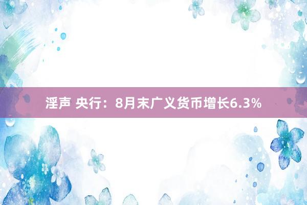 淫声 央行：8月末广义货币增长6.3%