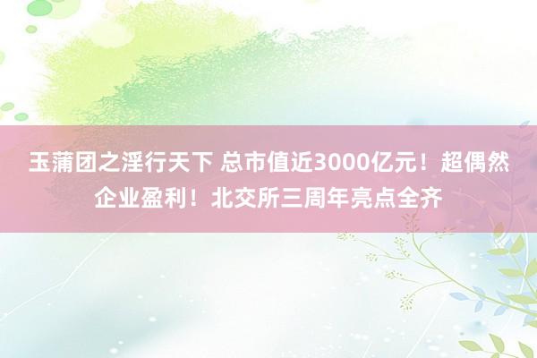 玉蒲团之淫行天下 总市值近3000亿元！超偶然企业盈利！北交所三周年亮点全齐