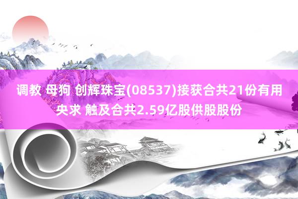 调教 母狗 创辉珠宝(08537)接获合共21份有用央求 触及合共2.59亿股供股股份