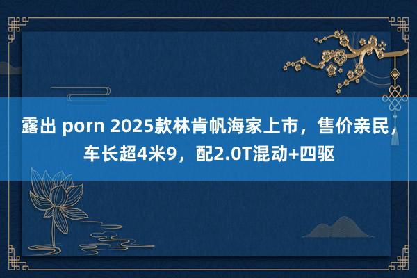 露出 porn 2025款林肯帆海家上市，售价亲民，车长超4米9，配2.0T混动+四驱