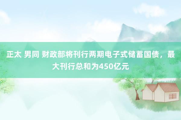 正太 男同 财政部将刊行两期电子式储蓄国债，最大刊行总和为450亿元