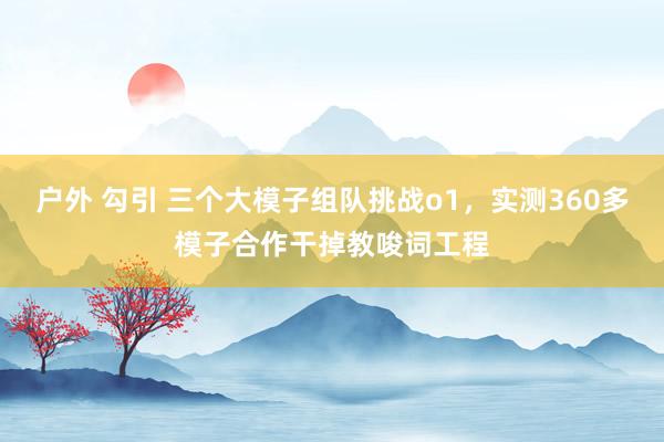 户外 勾引 三个大模子组队挑战o1，实测360多模子合作干掉教唆词工程