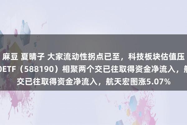 麻豆 夏晴子 大家流动性拐点已至，科技板块估值压制拆除！科创100ETF（588190）相聚两个交已往取得资金净流入，航天宏图涨5.07%