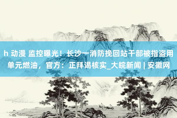 h 动漫 监控曝光！长沙一消防挽回站干部被指盗用单元燃油，官方：正拜谒核实_大皖新闻 | 安徽网