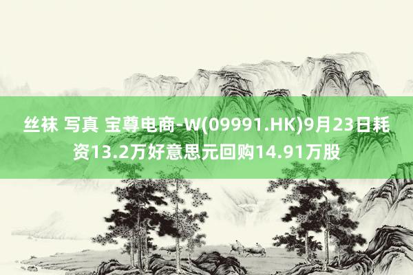 丝袜 写真 宝尊电商-W(09991.HK)9月23日耗资13.2万好意思元回购14.91万股