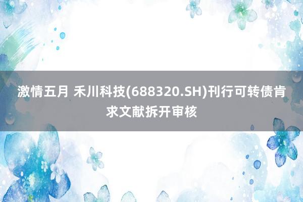 激情五月 禾川科技(688320.SH)刊行可转债肯求文献拆开审核