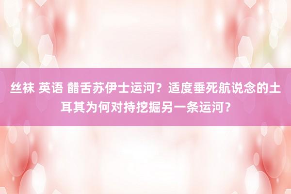 丝袜 英语 齰舌苏伊士运河？适度垂死航说念的土耳其为何对持挖掘另一条运河？