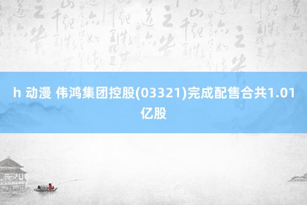 h 动漫 伟鸿集团控股(03321)完成配售合共1.01亿股