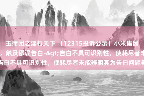 玉蒲团之淫行天下 【12315投诉公示】小米集团-W新增258件投诉公示，触及谬误告白->告白不具可识别性，使耗尽者未能辨明其为告白问题等