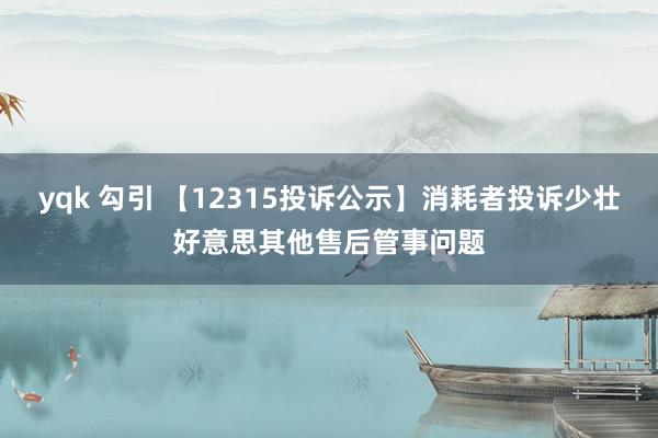 yqk 勾引 【12315投诉公示】消耗者投诉少壮好意思其他售后管事问题