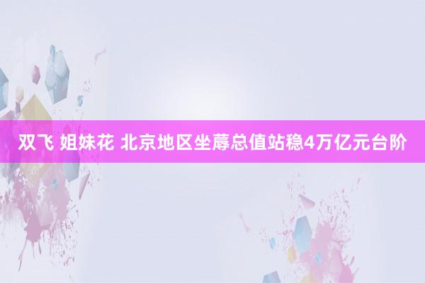 双飞 姐妹花 北京地区坐蓐总值站稳4万亿元台阶