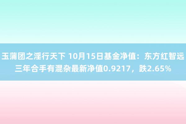 玉蒲团之淫行天下 10月15日基金净值：东方红智远三年合手有混杂最新净值0.9217，跌2.65%