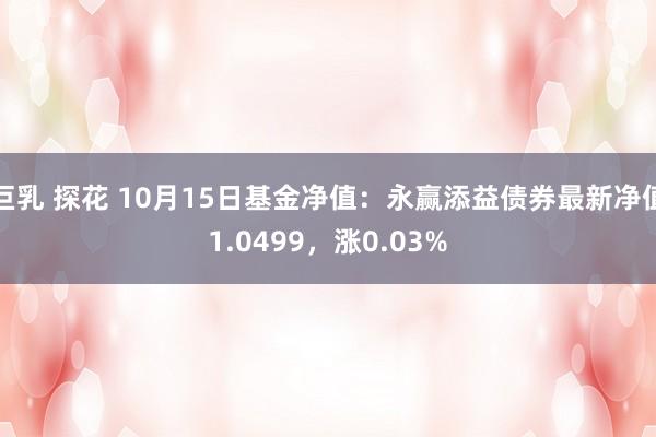 巨乳 探花 10月15日基金净值：永赢添益债券最新净值1.0499，涨0.03%