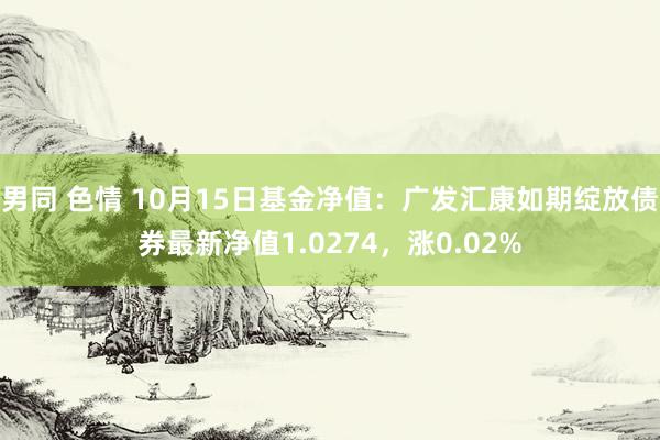 男同 色情 10月15日基金净值：广发汇康如期绽放债券最新净值1.0274，涨0.02%