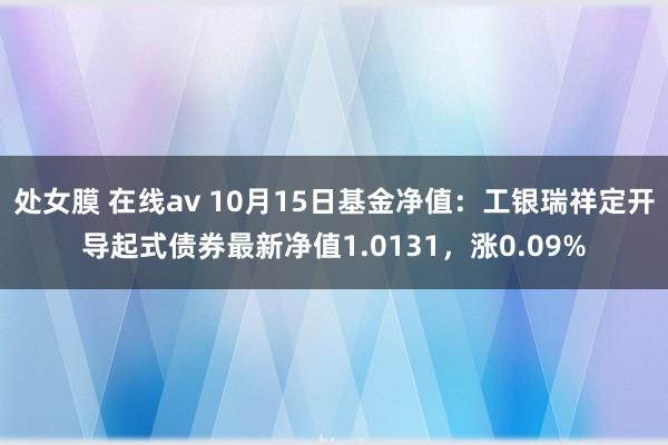 处女膜 在线av 10月15日基金净值：工银瑞祥定开导起式债券最新净值1.0131，涨0.09%