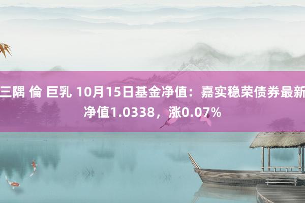 三隅 倫 巨乳 10月15日基金净值：嘉实稳荣债券最新净值1.0338，涨0.07%