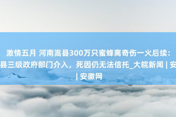 激情五月 河南嵩县300万只蜜蜂离奇伤一火后续：省市县三级政府部门介入，死因仍无法信托_大皖新闻 | 安徽网