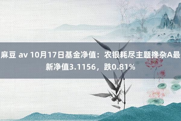 麻豆 av 10月17日基金净值：农银耗尽主题搀杂A最新净值3.1156，跌0.81%