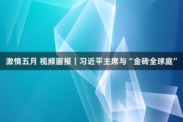 激情五月 视频画报｜习近平主席与“金砖全球庭”