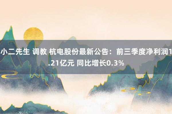 小二先生 调教 杭电股份最新公告：前三季度净利润1.21亿元 同比增长0.3%