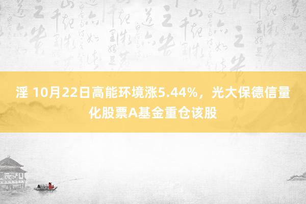 淫 10月22日高能环境涨5.44%，光大保德信量化股票A基金重仓该股