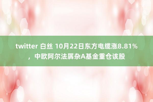 twitter 白丝 10月22日东方电缆涨8.81%，中欧阿尔法羼杂A基金重仓该股