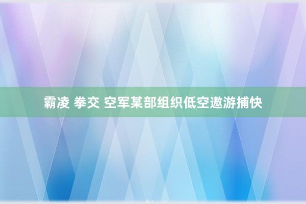 霸凌 拳交 空军某部组织低空遨游捕快