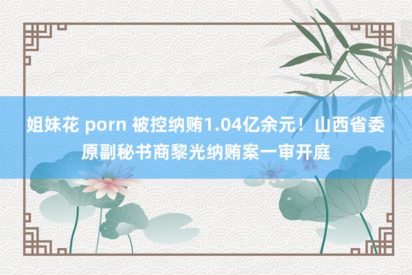 姐妹花 porn 被控纳贿1.04亿余元！山西省委原副秘书商黎光纳贿案一审开庭