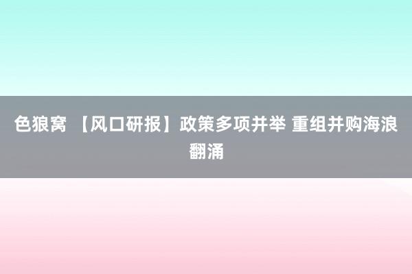 色狼窝 【风口研报】政策多项并举 重组并购海浪翻涌