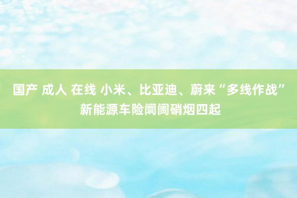 国产 成人 在线 小米、比亚迪、蔚来“多线作战” 新能源车险阛阓硝烟四起