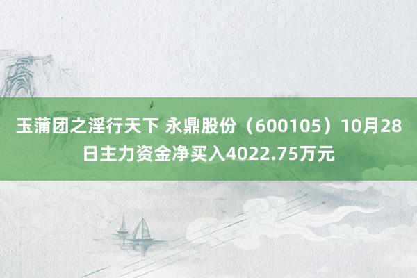 玉蒲团之淫行天下 永鼎股份（600105）10月28日主力资金净买入4022.75万元