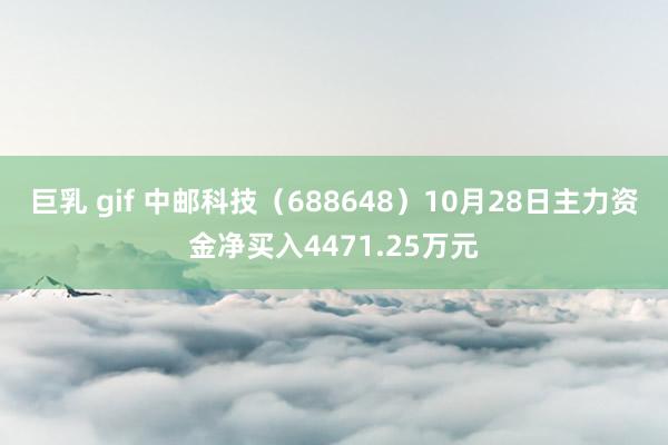 巨乳 gif 中邮科技（688648）10月28日主力资金净买入4471.25万元