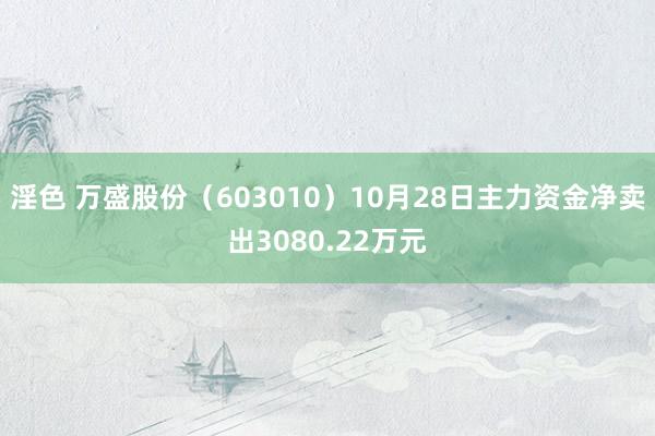 淫色 万盛股份（603010）10月28日主力资金净卖出3080.22万元