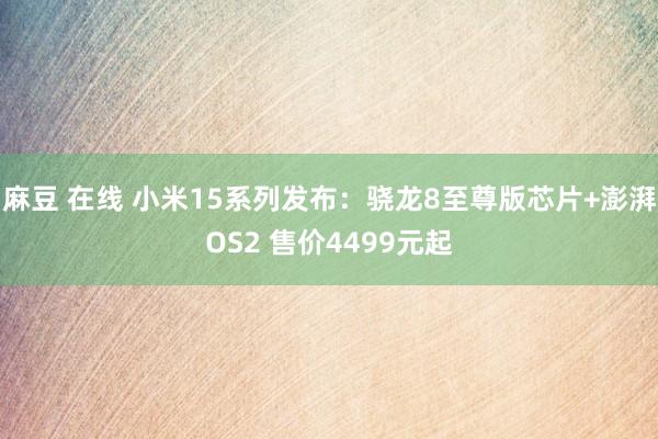 麻豆 在线 小米15系列发布：骁龙8至尊版芯片+澎湃OS2 售价4499元起