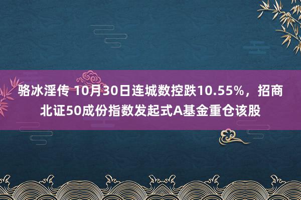 骆冰淫传 10月30日连城数控跌10.55%，招商北证50成份指数发起式A基金重仓该股