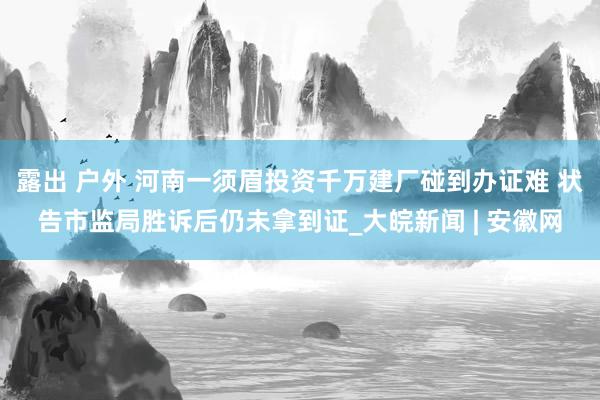 露出 户外 河南一须眉投资千万建厂碰到办证难 状告市监局胜诉后仍未拿到证_大皖新闻 | 安徽网