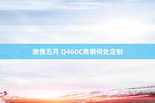 激情五月 Q460C角钢何处定制