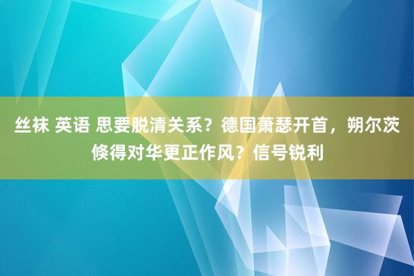 丝袜 英语 思要脱清关系？德国萧瑟开首，朔尔茨倏得对华更正作风？信号锐利