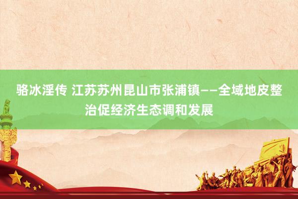 骆冰淫传 江苏苏州昆山市张浦镇——全域地皮整治促经济生态调和发展