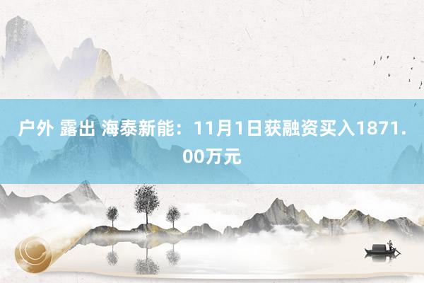 户外 露出 海泰新能：11月1日获融资买入1871.00万元