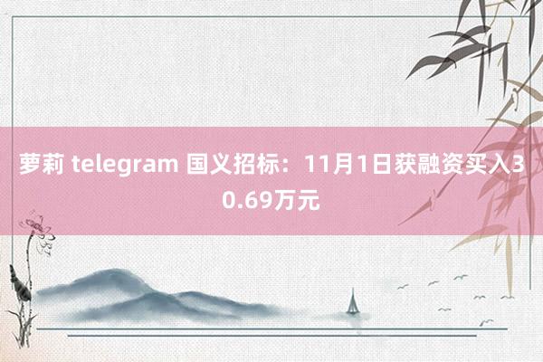 萝莉 telegram 国义招标：11月1日获融资买入30.69万元