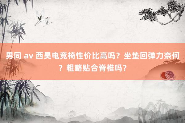 男同 av 西昊电竞椅性价比高吗？坐垫回弹力奈何？粗略贴合脊椎吗？