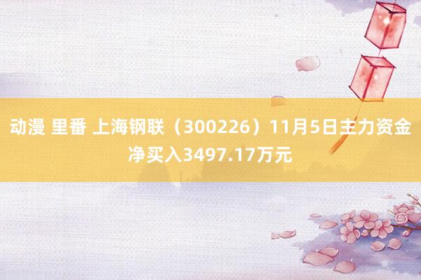 动漫 里番 上海钢联（300226）11月5日主力资金净买入3497.17万元