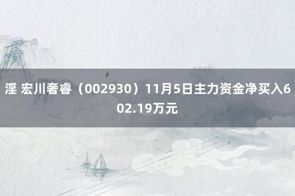 淫 宏川奢睿（002930）11月5日主力资金净买入602.19万元