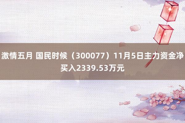 激情五月 国民时候（300077）11月5日主力资金净买入2339.53万元